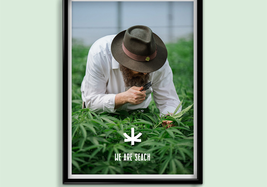 國外-南陽-醫療-VI設計-品牌設計-標志-logo設計-簡潔-海報