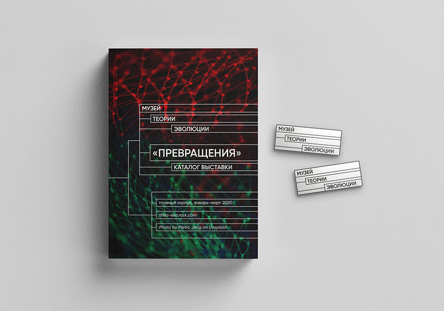 蚌埠品牌設計公司-蚌埠logo標志設計公司分享進化論博物館品牌視覺系統圖片-探鳴品牌設計公司.jpg