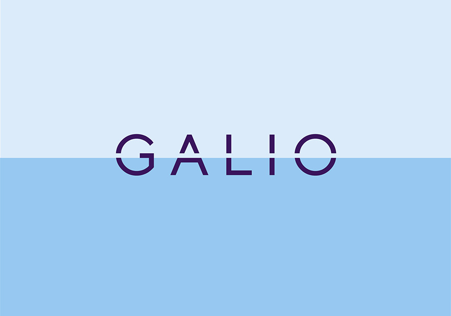 Galio集團國際房產vi設計-房產開發公司logo設計賞析-探鳴品牌VI設計公司.jpg
