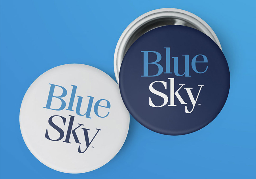 企業vi設計全套案例-藍天工作室（Blue-sky-studios）vi標志設計說明.jpg