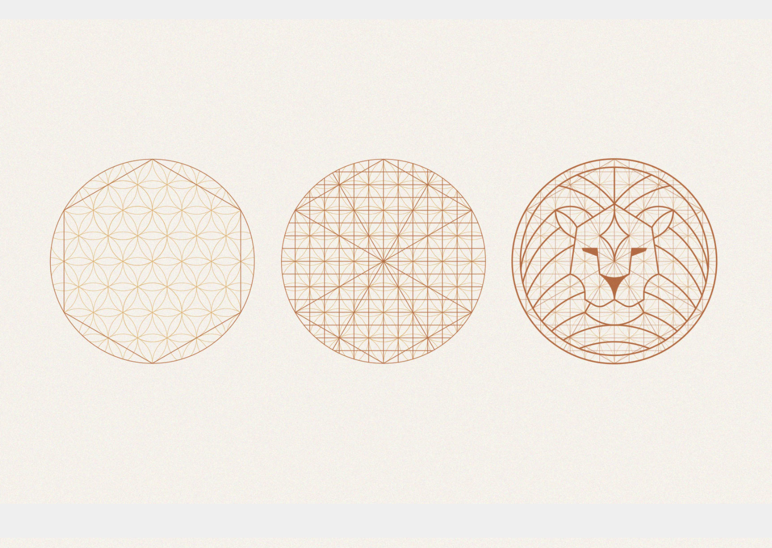 獅子元素與鉆石結構結合的logo.png