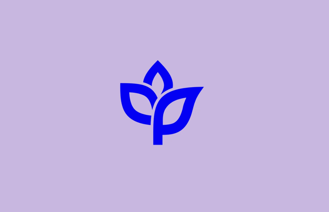 法國Ankorstore電商平臺整套VI設計系統與logo設計.png