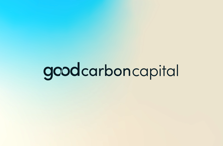 廣州vi形象設計公司-GCC碳基金公司logo與VI視覺設計案例分享-探鳴設計.png
