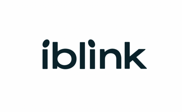 iblink智能家居科技公司vi設計手冊全套-智能家居logo設計.png