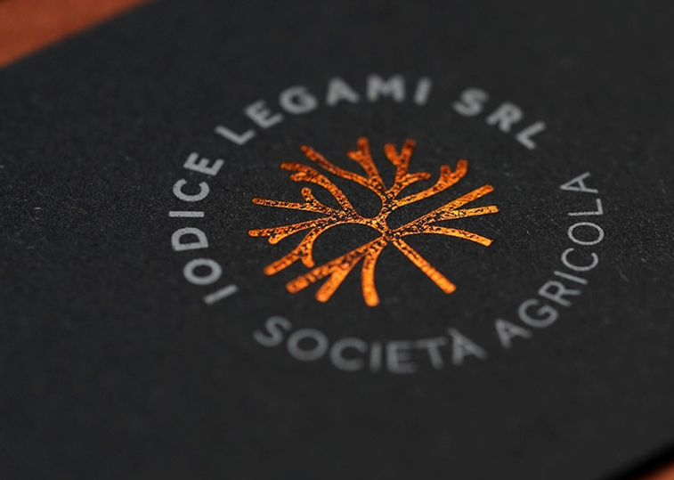 歐洲綠植公司logo設計-農業公司商標設計-探鳴設計.png