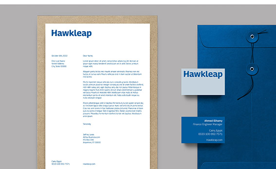 Hawkleap航空公司數字管理平臺VI設計與logo-探鳴設計.jpeg