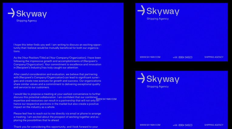 調(diào)色板在代表 Skyway 的核心價(jià)值觀和愿望方面發(fā)揮著至關(guān)重要的作用.png